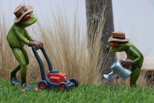 lawn-care-640x480-1037595.jpeg