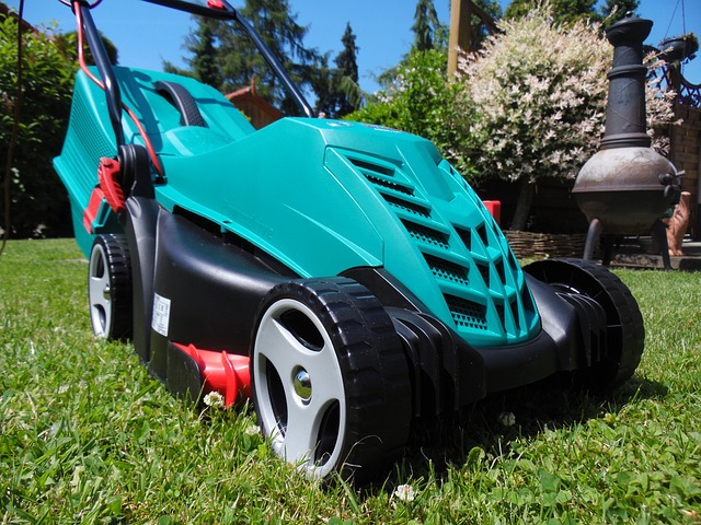 lawn-care-640x480-2407149.jpeg