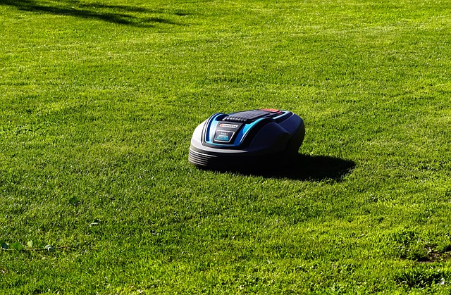 Mastering Lawn Care: Design, Soil Science, and Grass Selection for Outdoor Spaces