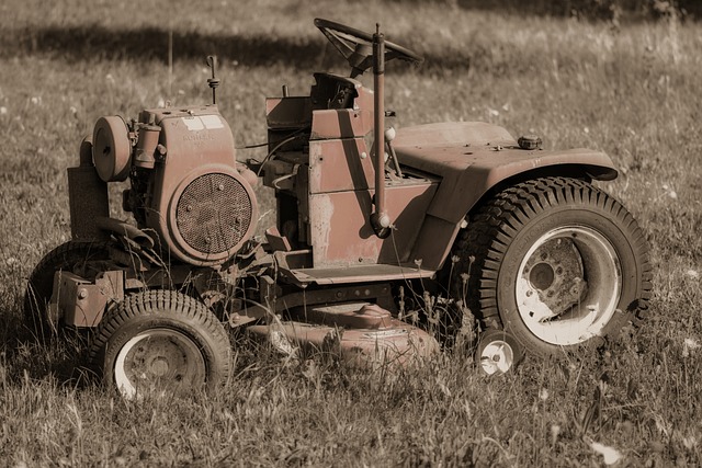 Lawn Care