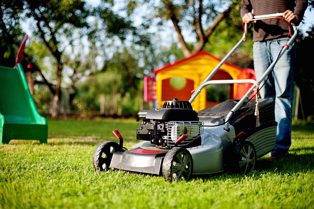 lawn-care-640x480-5235121.jpeg