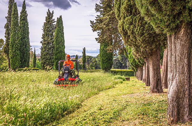 Lawn Care