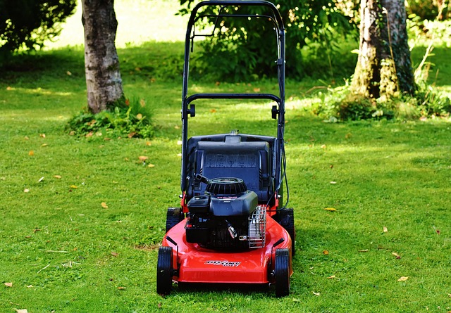 Lawn Care