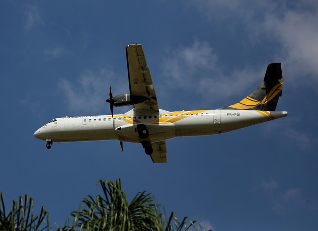 Bluffton Shuttle: Convenient Airport Access for SC Residents
