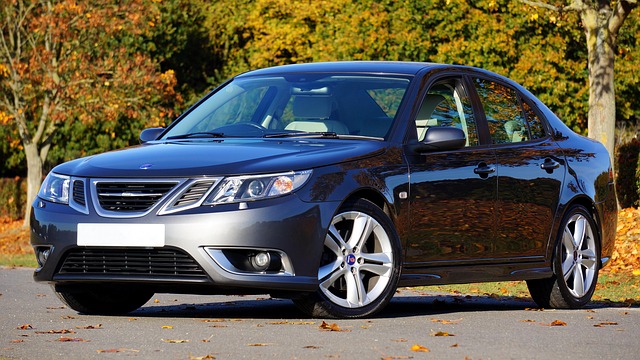 Savannah Executive Airport Shuttle: Luxurious, Clean Transfers for On-Time Travel