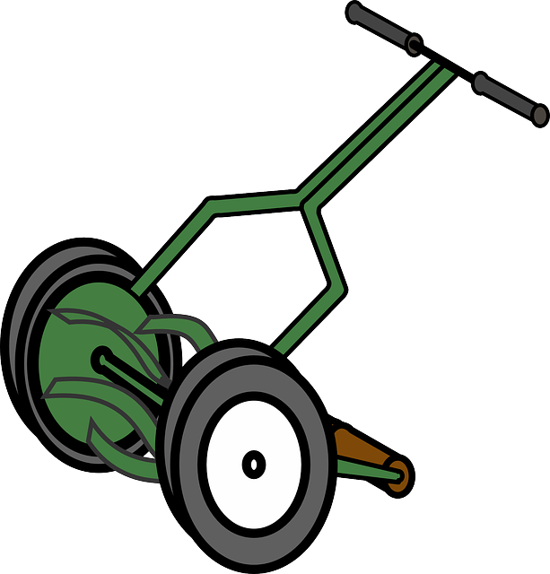Lawn Care