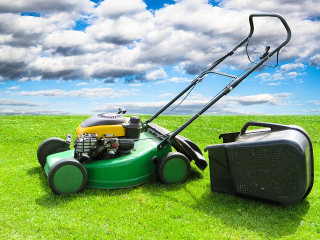 lawn-care-640x480-18911058.jpeg