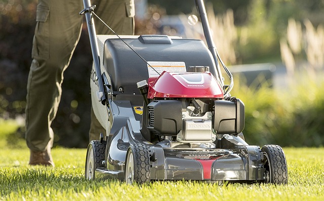 lawn-care-640x480-2552514.jpeg