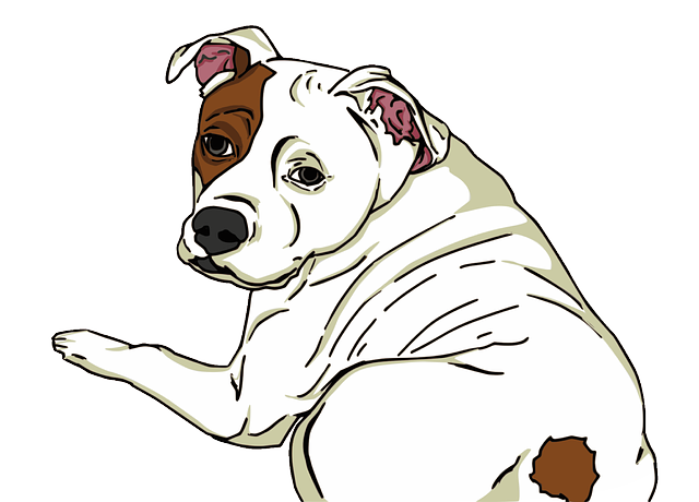 Ensuring Peace of Mind: Tips for Reliable Pet Sitting and Dog Walking