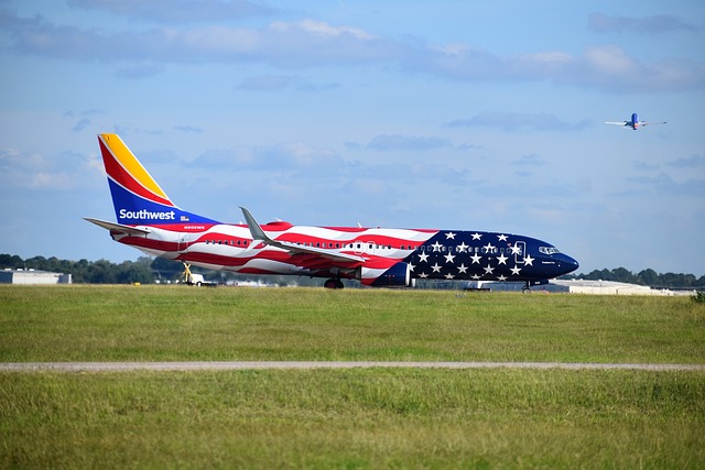 Elevate Your Travel: Choose Platinum for Premier Savannah Airport Coaching