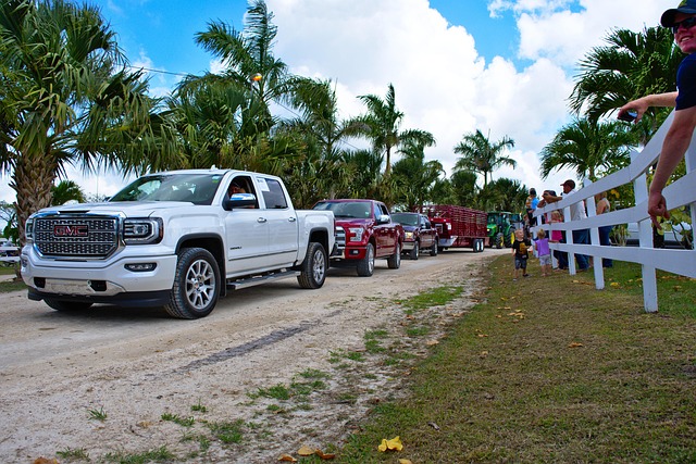 pro-driver-clean-vehicle-timely-pickup-640x480-31598781.jpeg