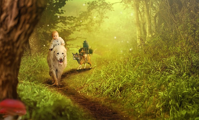Return Ride