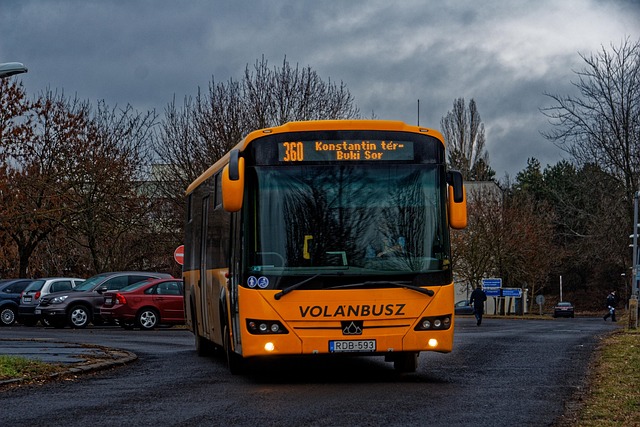 Transport Shuttle