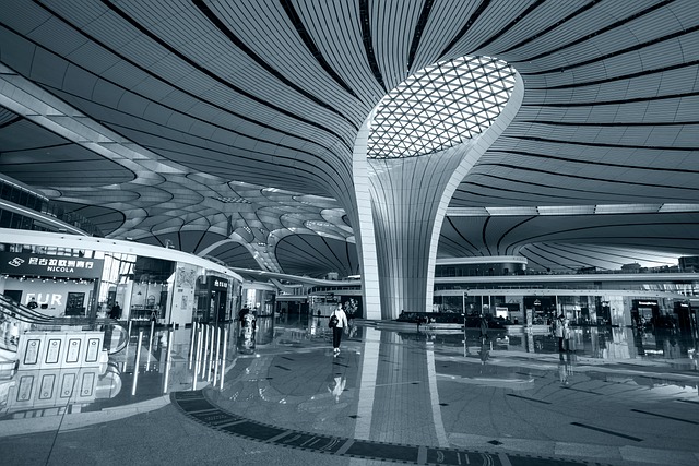 Airport Shuttle