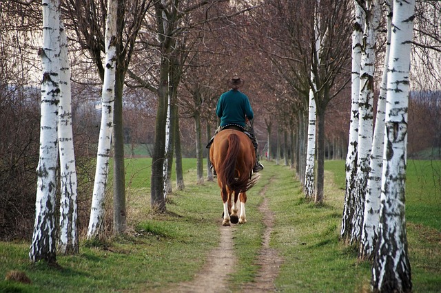 corporate-ride-640x480-64505230.jpeg