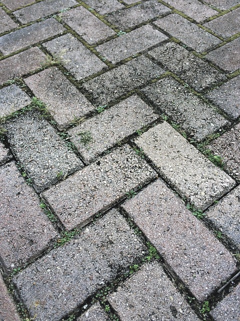driveway-shuttle-640x480-1632608.jpeg