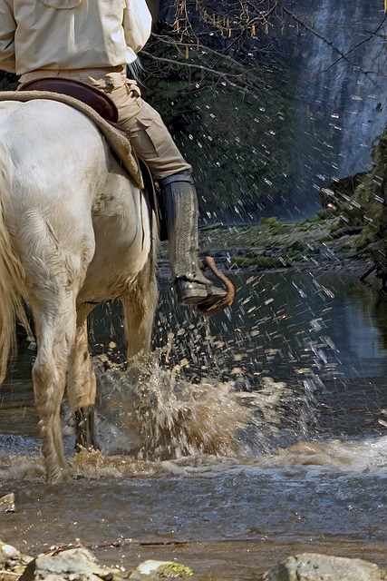 executive-ride-640x480-28047650.jpeg