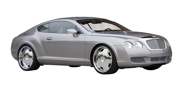 Executive Vehicle
