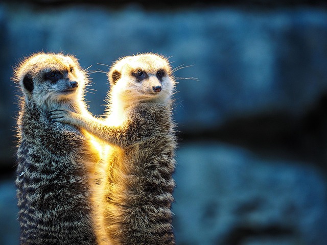 group-shuttle-640x480-55682393.jpeg