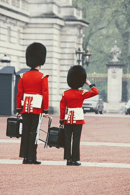 Gutter Guards