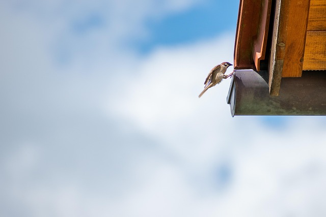 Year-Round Gutter Care for Hilton Head Island Homes