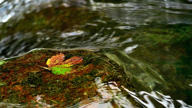Gutter Water Flow