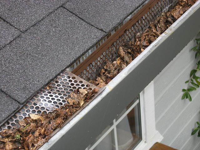 Hilton Head Gutter Guard Systems