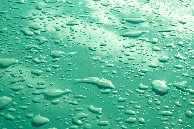 Hilton Head Rain Systems