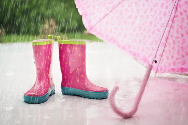 Hilton Head Island Gutter Maintenance: Protecting Homes and Businesses Locally