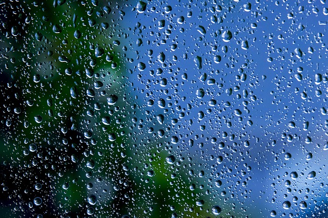 Hilton Head Rain Systems