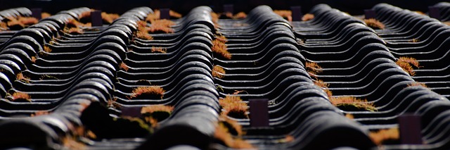 Custom Downspouts: Enhance Your Hilton Head Island Home’s Water Management & Landscape Design