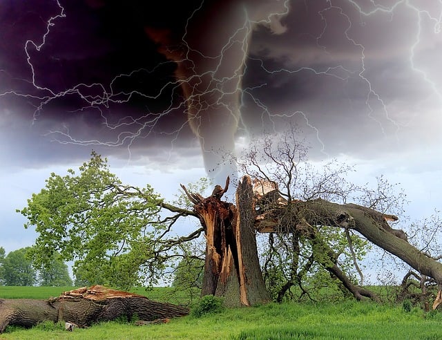 Hilton Head Island Storm Damage: Free Inspections, Gutter Repairs, and Comprehensive Guides
