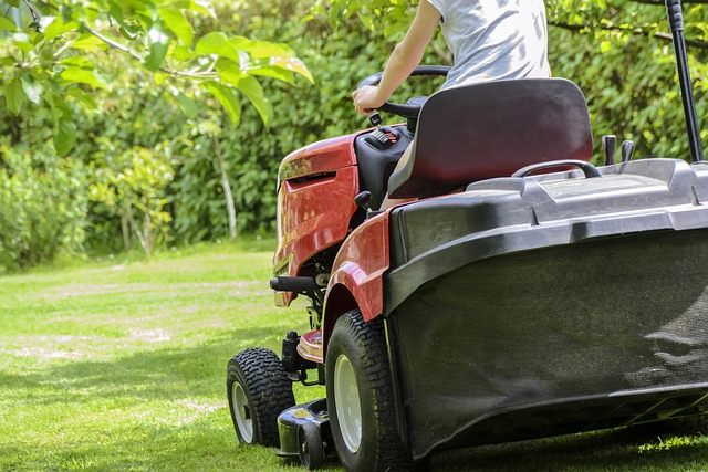 lawn-care-640x480-17019691.jpeg