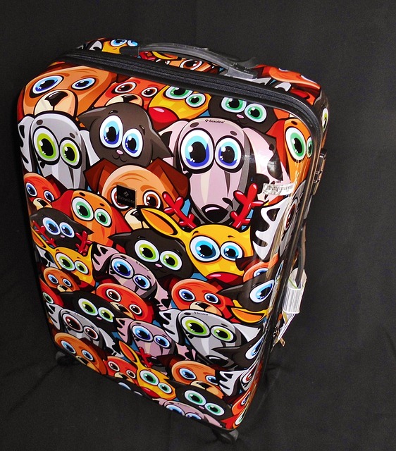 Luggage