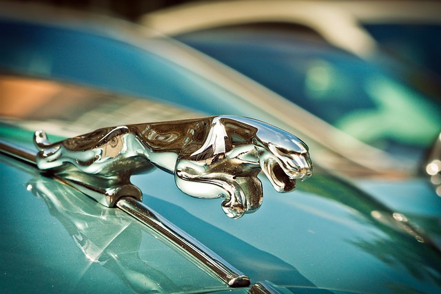 Luxury Car