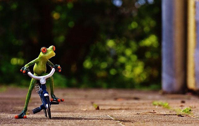 On-Time Ride