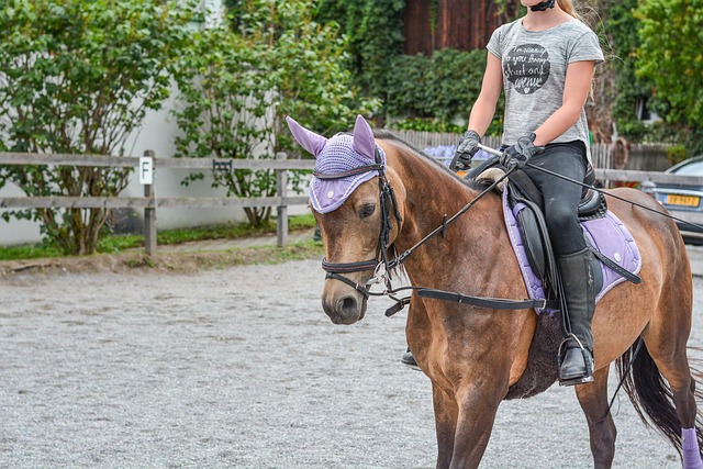 Personal Ride