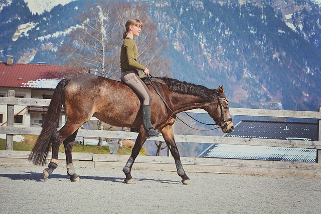 personal-ride-640x480-60105256.jpeg