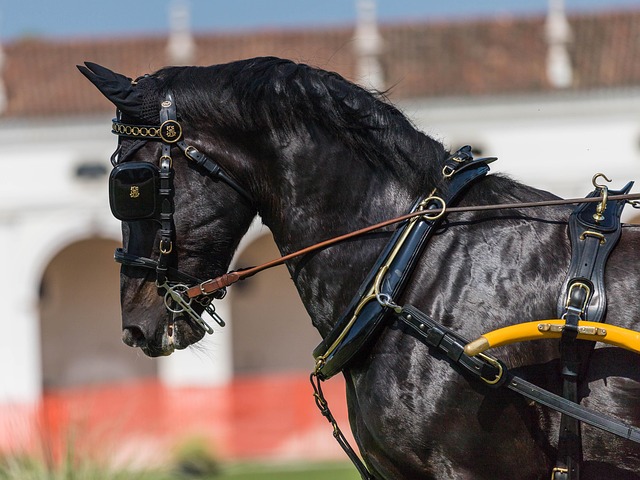 planned-ride-640x480-24381572.jpeg