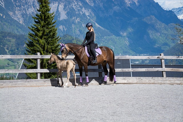 planned-ride-640x480-33108817.jpeg