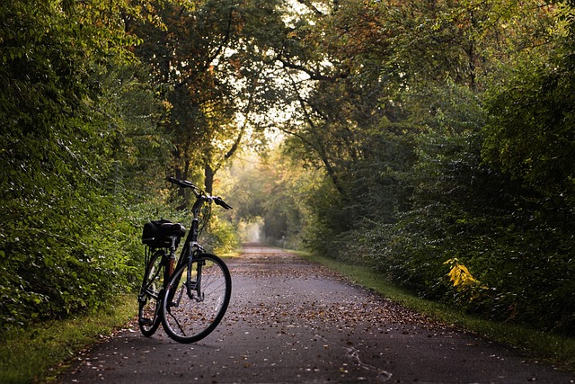 planned-ride-640x480-68555216.jpeg