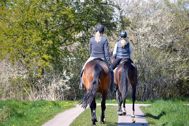 professional-ride-640x480-55864475.jpeg