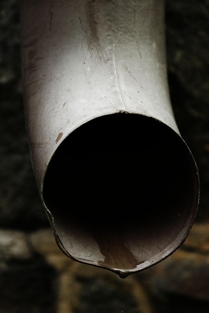 Reliable Same-Day Gutter Repair Services Trusted by Hilton Head Homeowners