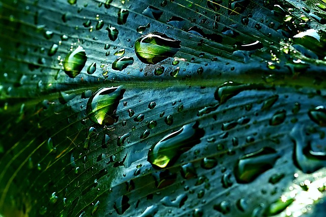 Rainwater Control