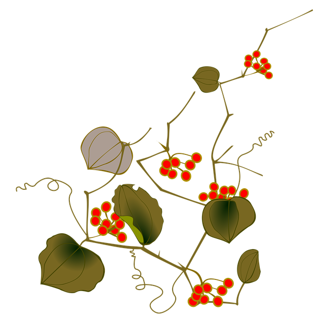 return-ride-640x480-68884682.png