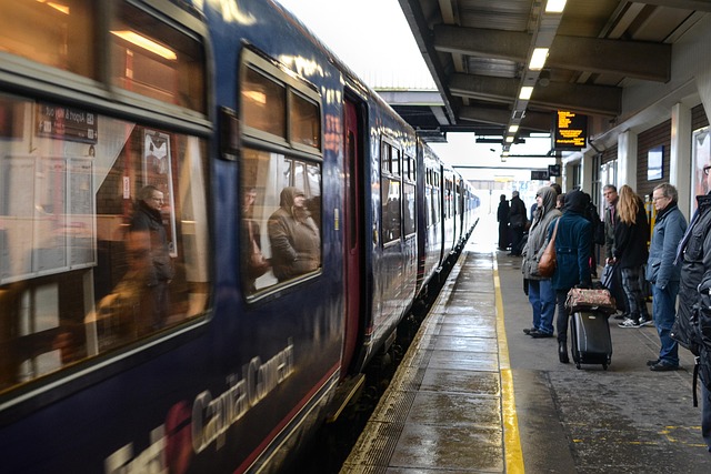 Round-the-Clock Transport