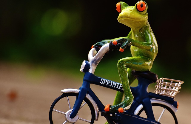 sav-ride-640x480-54502842.jpeg