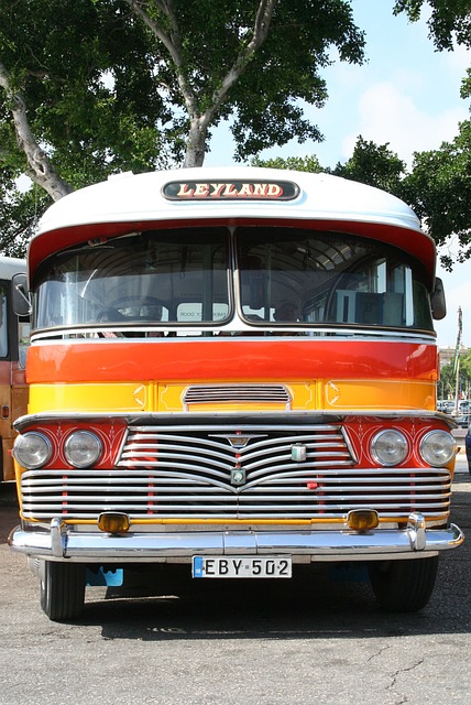 SAV Transport