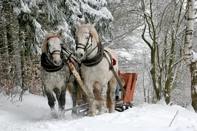 sav-transport-640x480-60351642.jpeg