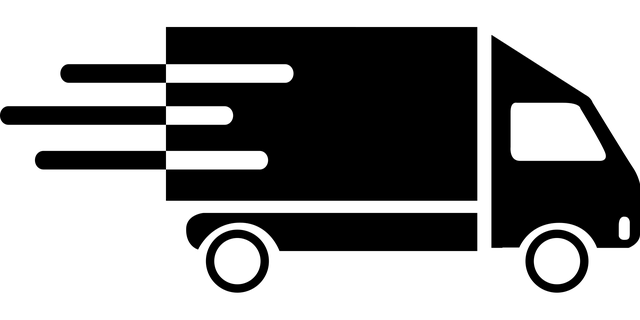 SAV Transport